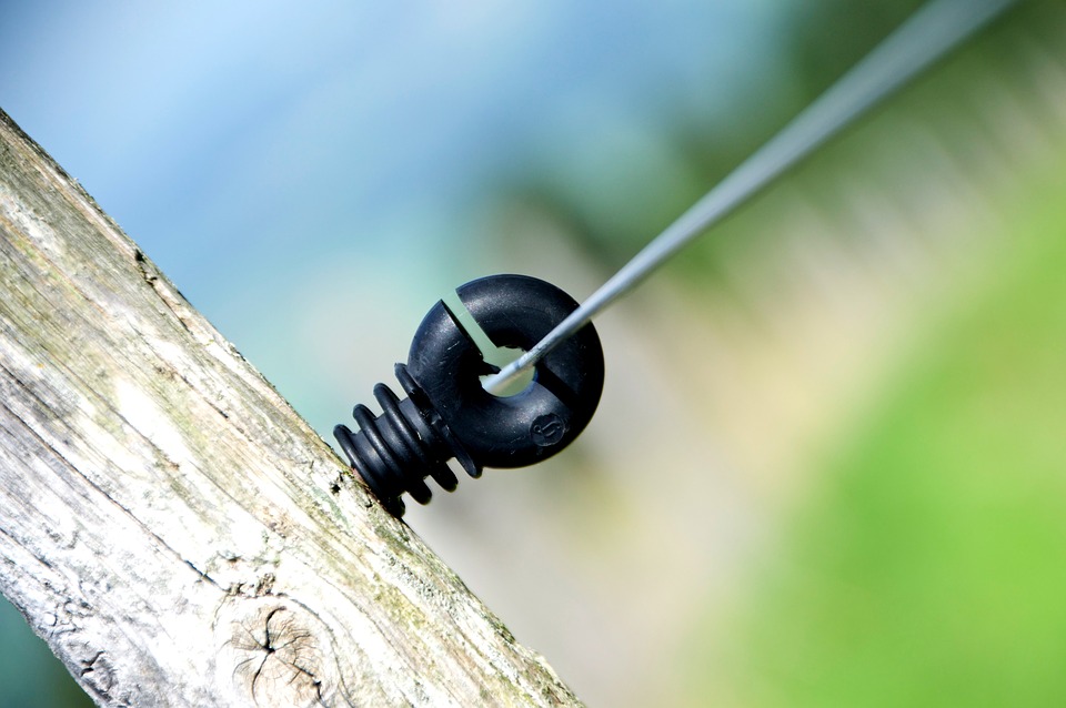 Die richtige Wahl der Isolatoren